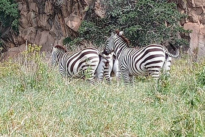 Tour to Hells Gate National park & L Naivasha boat ride - Lunch near Lake Naivasha