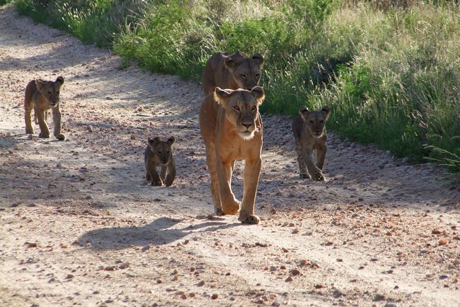 Tsavo East Amboseli and Tsavo West Safari 4 Days starting Malindi - Why this safari covers so much ground