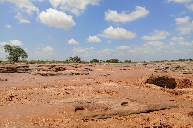 Tsavo East and Ngutuni Sanctuary Safari 3 days from Mombasa - Day three: a final morning with the animals