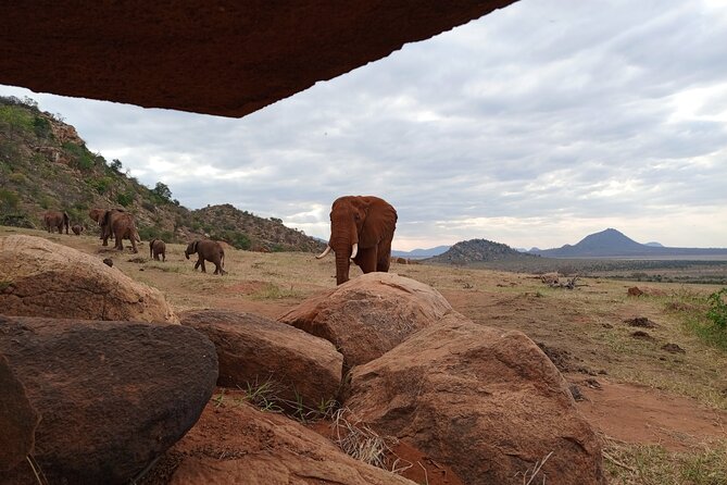 Tsavo East National Park 2 days Voi Safari Lodge from Mombasa. - Lunch and the views at Voi Safari Lodge