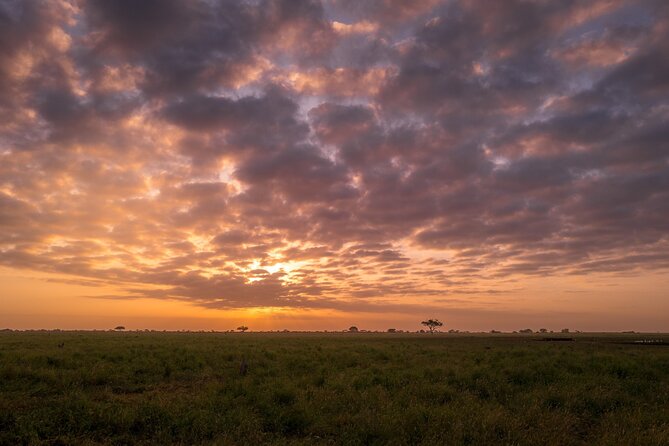 Tsavo East National Park 2 days Voi Safari Lodge from Mombasa. - What the $1,050 price means