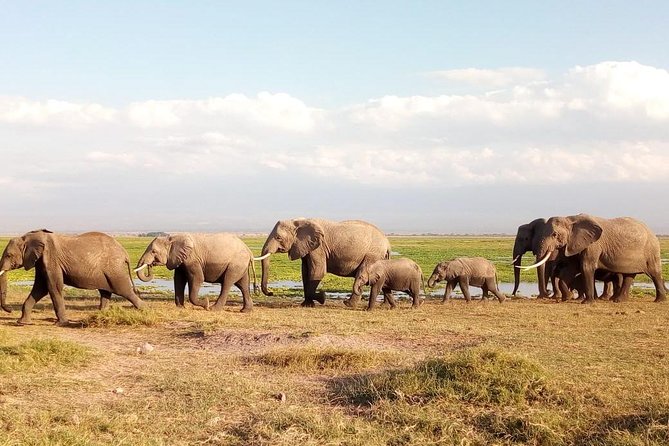 Tsavo East & west, Amboseli 5days from Mombasa - Day three: crossing to Amboseli