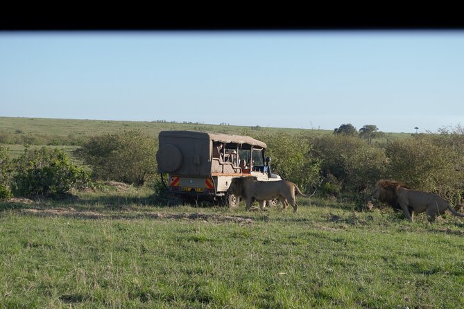 Ultimate 12 Days Private Safari Tour in Kenya and Tanzania - Why this Kenya and Tanzania route works