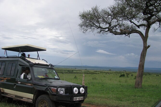 Ultimate 12 Days Private Safari Tour in Kenya and Tanzania - Day 3: Thompson’s Falls, Lake Naivasha, and a walk among grazers