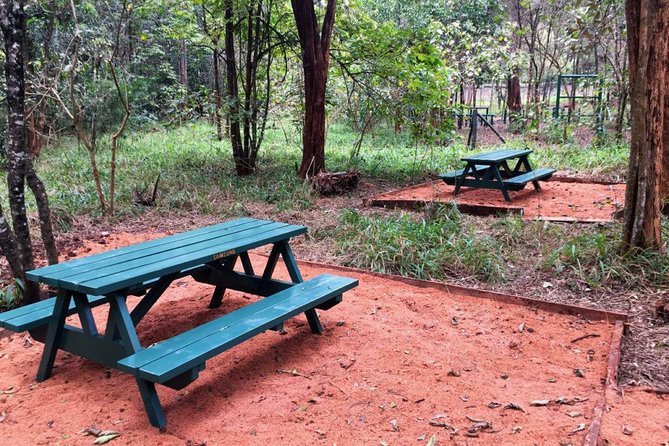 Urban Forest Tour in Nairobi - Starting at Gate C and Getting Oriented