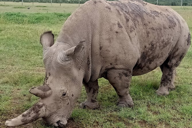 Vegans special safari - Why this safari is different