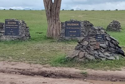 Vegans special safari