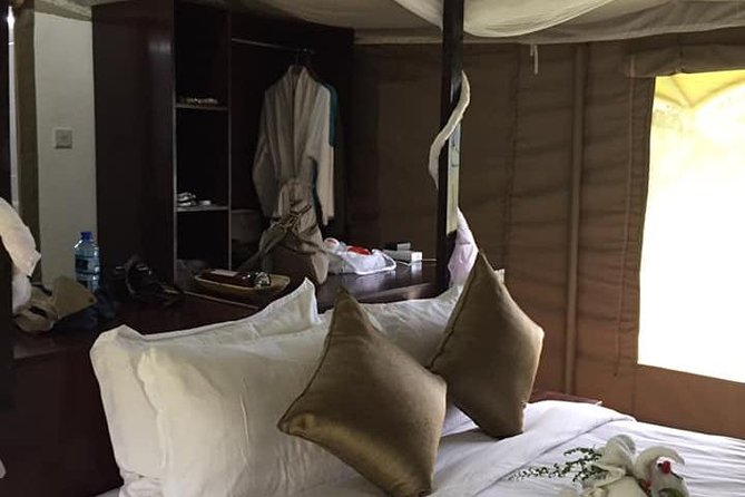 Vegans special safari - Days 7 and 8: Ol Pejeta brings conservation into focus