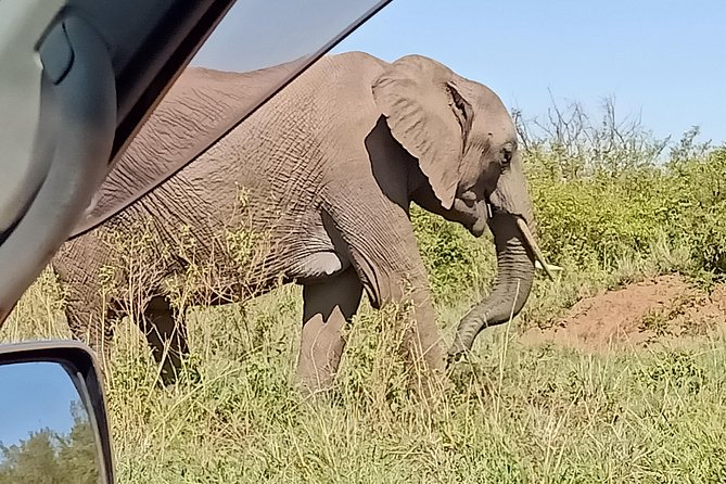 Vegans special safari - Days 9 and 10: Amboseli and the Kilimanjaro view