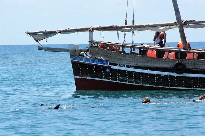Wasini Dolphin Snorkeling - Who will enjoy this day most?