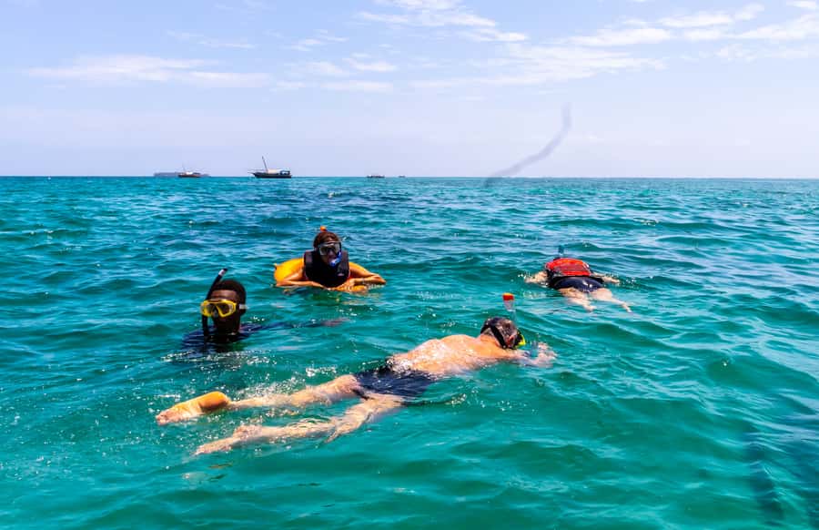 Wasini Island: Dolphin Spotting & Snorkel at Kisite Mpunguti - From Your Hotel to the Kenyan Coast