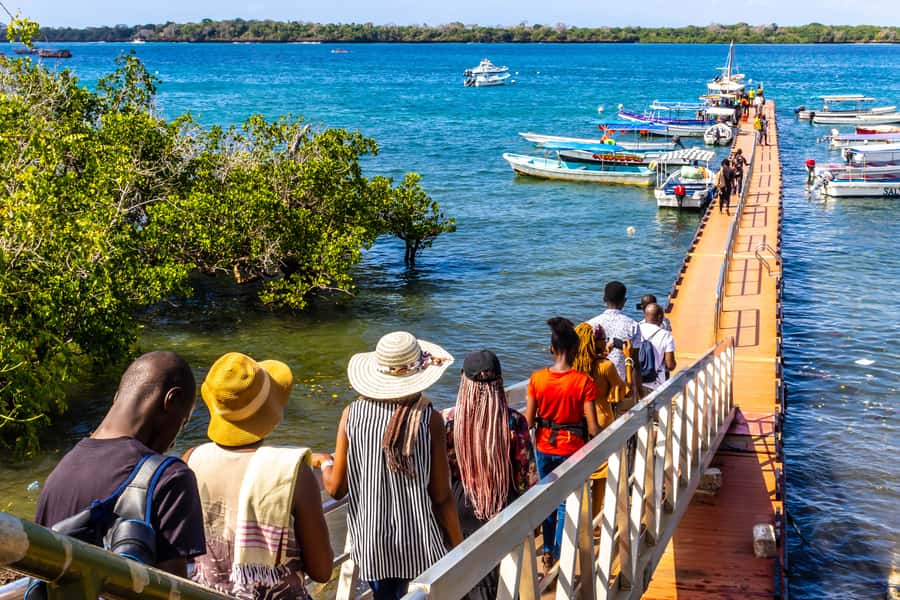Wasini Island: Dolphin Spotting & Snorkel at Kisite Mpunguti - Wasini Island Seafood Lunch