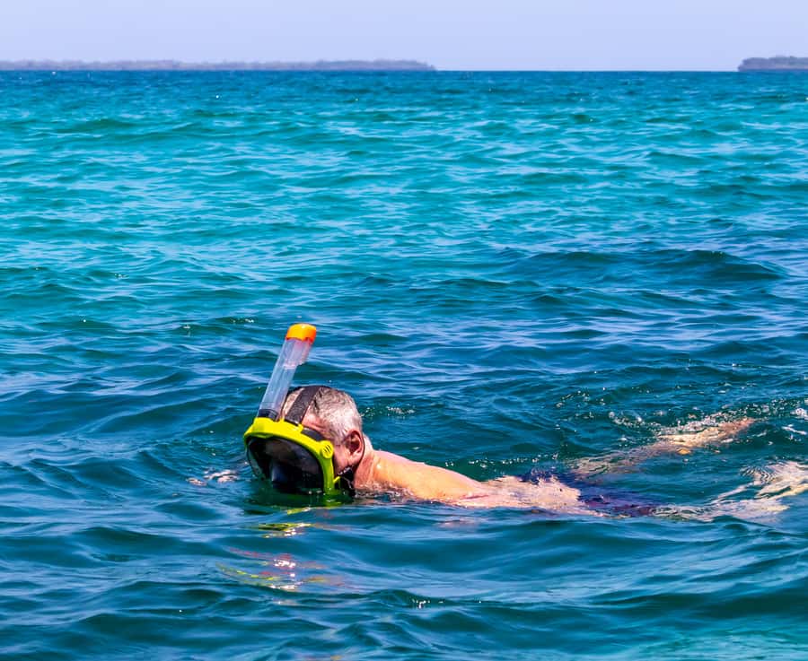 Wasini Island: Dolphin Spotting & Snorkel at Kisite Mpunguti - Mangrove Boardwalk and Coral Gardens
