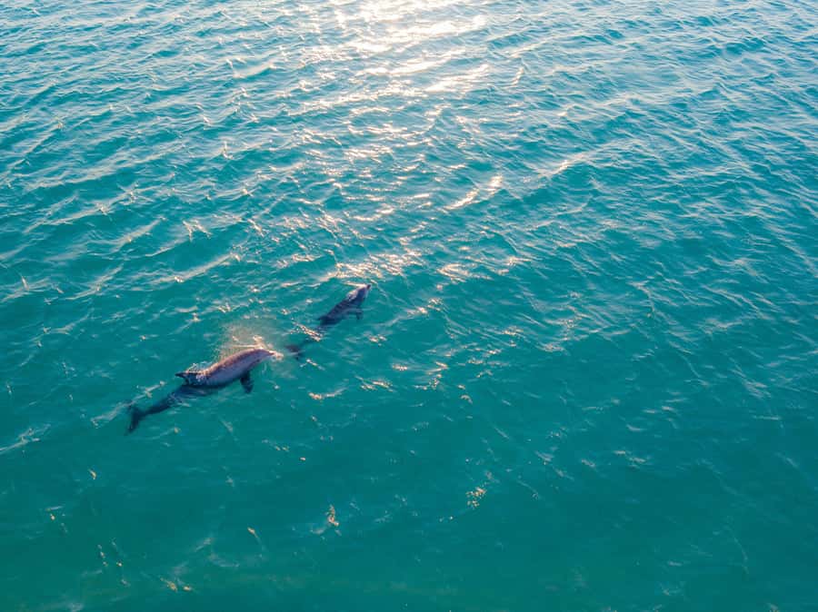 Watamu: Dolphin Watching and Snorkeling Boat Tour - Setting off from Watamu Marine Park