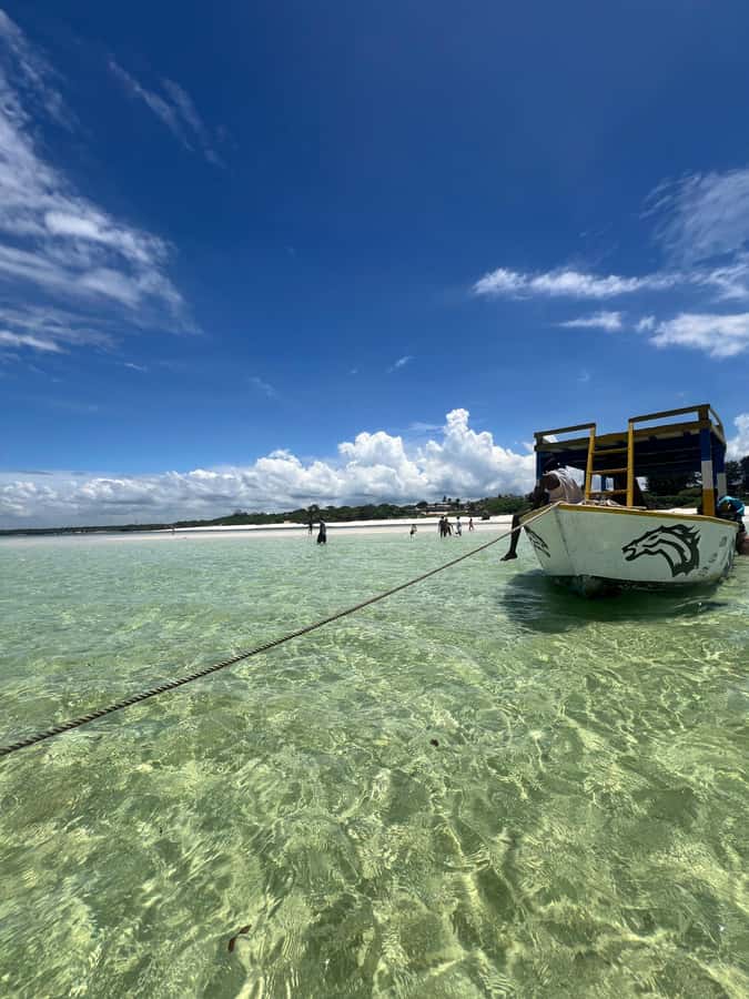 WATAMU: MALINDI: SARDEGNA ISLAND & MALINDI MARINE PARK - Who will enjoy this experience most