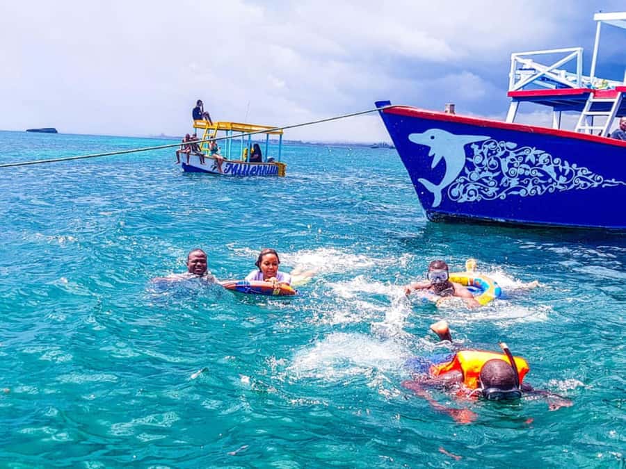 Watamu: Marine Park Snorkeling and Dolphin Spotting Tour - What the $115 price really covers