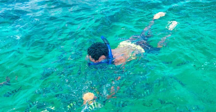 Watamu: Marine Park Snorkeling and Dolphin Spotting Tour - Who should book this outing
