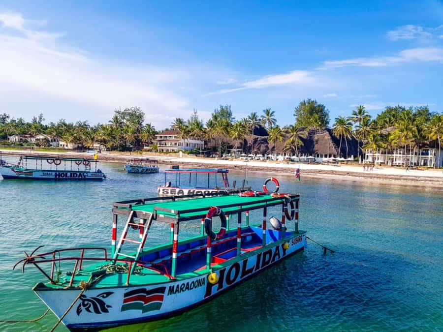 Watamu: Marine Park Snorkeling and Dolphin Spotting Tour - Pickup from Watamu, Malindi, or Kilifi