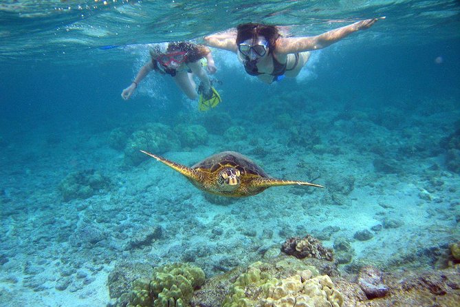 Watamu Marine Park & Sudi Island Mangrove Forest Canoe Ride.With sea food lunch - Why this Mombasa day trip is worth considering