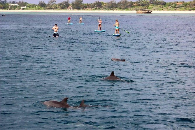 Watamu Marine Park & Sudi Island Mangrove Forest Canoe Ride.With sea food lunch - Seafood barbecue on the beach