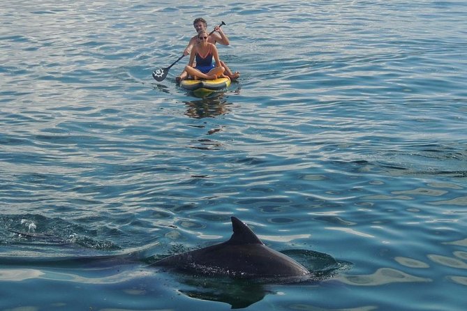 Watamu Marine Park & Sudi Island Mangrove Forest Canoe Ride.With sea food lunch - Arriving at Watamu Marine Park around 9:30