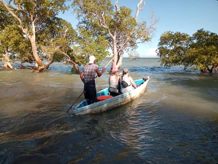 Watamu: Sunset Mangrove Canoe Tour with Coconut Drink - Getting there and avoiding extra-cost surprises