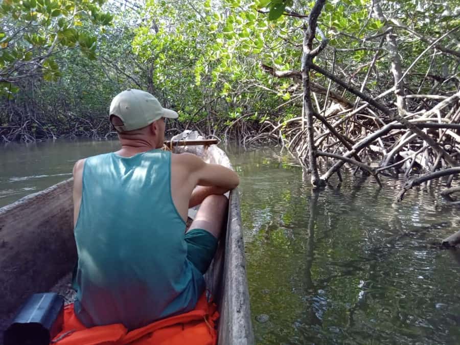Watamu: Sunset Mangrove Canoe Tour with Coconut Drink - Who will enjoy this $20 experience most