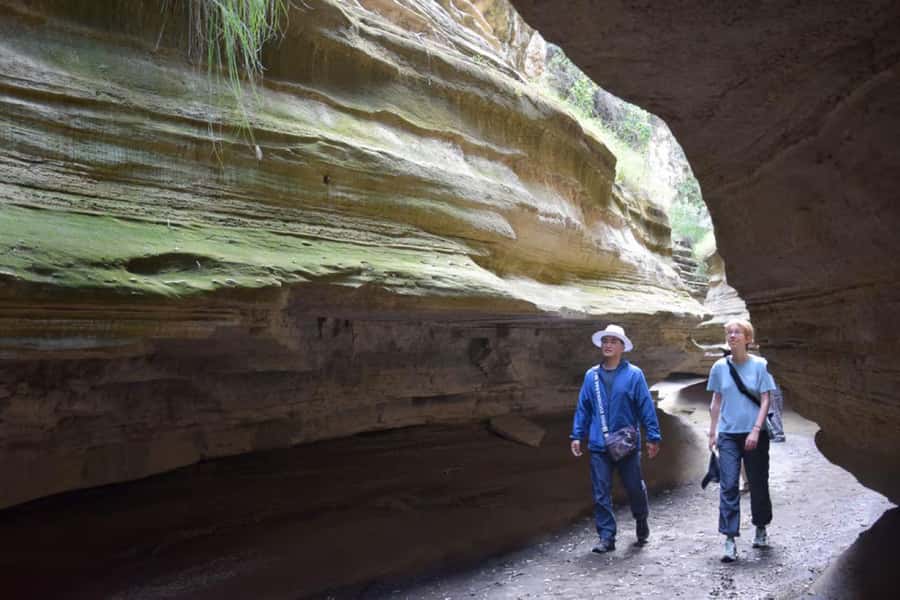 Wild Encounters: Hell's Gate National Park Adventure - Geothermal springs and steam vents at 3:00 PM