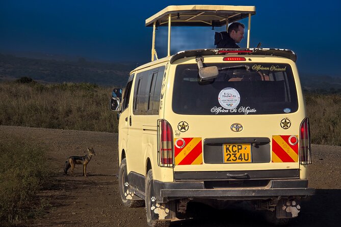 Wildlife Capital: Half-Day Safari at Nairobi National Park - Should you book the Nairobi half-day safari?